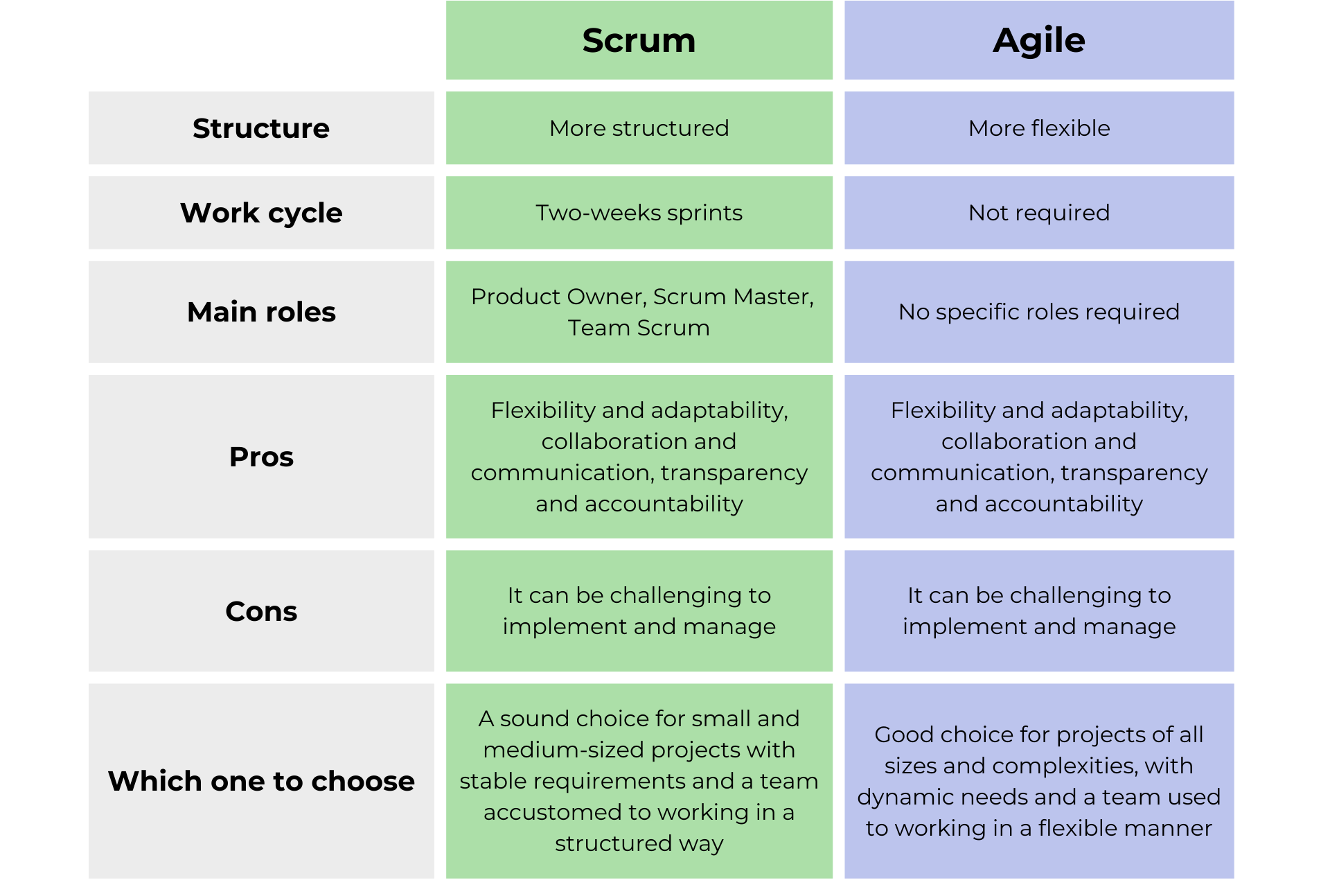 Agile Scrum project management