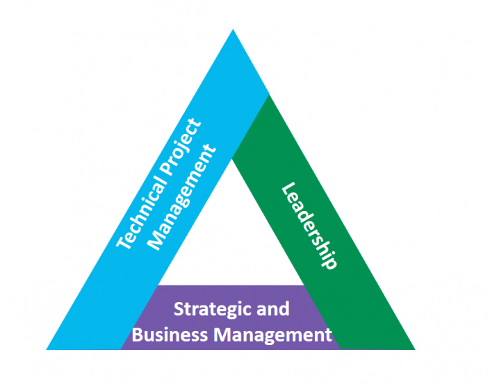 triangle of talents : which skills for the project manager?